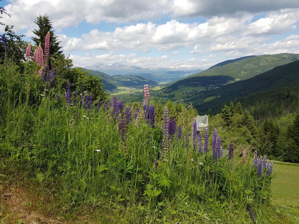 Residenz Monica Top 8 Санкт-Маргаретен-им-Лунгау Экстерьер фото